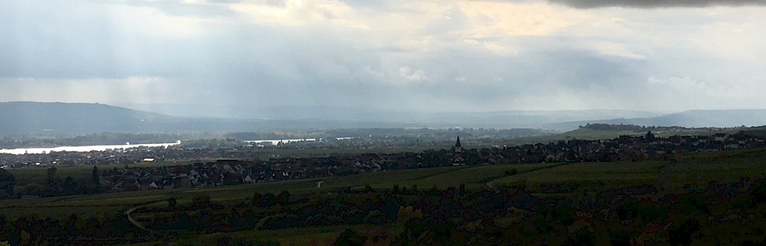 Aussicht vom Kloster Eberbach - Teamevent bei Frankfurt