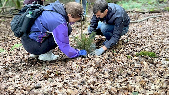 Social Day - Gemeinsam Gutes tun